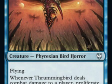 Thrummingbird [Streets of New Capenna Commander] Cheap