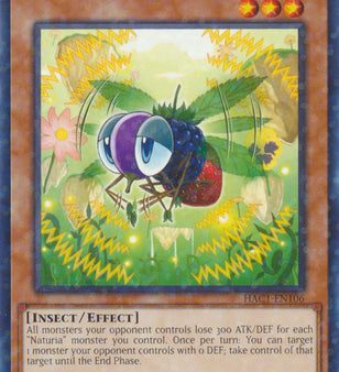 Naturia Fruitfly (Duel Terminal) [HAC1-EN106] Common Supply